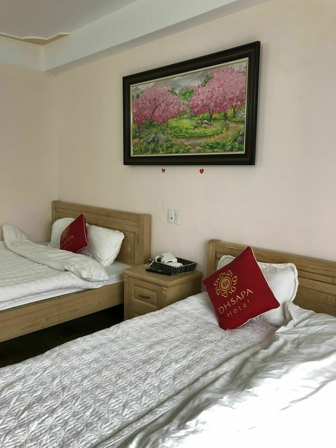 Hotel Dh Sa Pa Extérieur photo